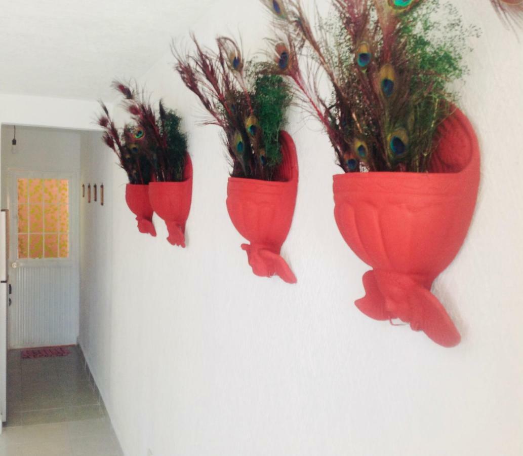 Ferienwohnung Flamingos Ixtapa  Exterior foto